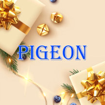 Pigeon_Name T-Shirt