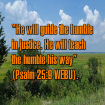Biblical Scripture Verses (6)