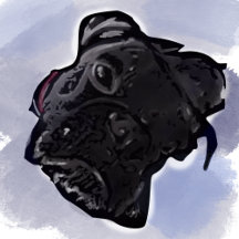 Porter the Black Boxer