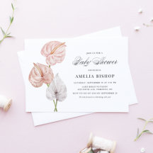 Pink and White Anthuriums Collection