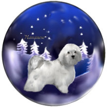 Havanese Dogs Christmas Gifts