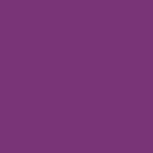 Trendy Purple Holidays - Bright Purple