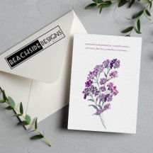 Thinking of You, Support & Encouragement 