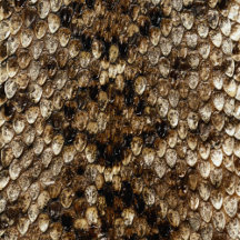 Faux Rattlesnake Skin Collecdtion