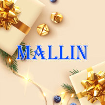 Mallin_Name T-Shirt