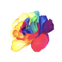 Vibrant Rainbow Rose Collection