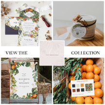 Zephyr   Late Summer Winds