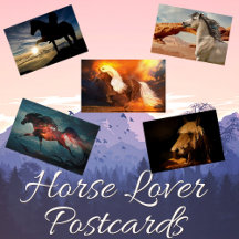 Horse Lover Postcards