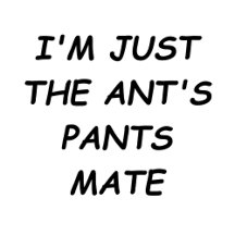 Ant's Pants