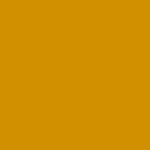 Solid Orange Brown Color   Hex# D19000