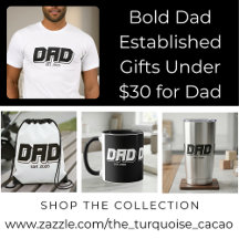 Bold Dad Established Gifts Under $30 for Dad