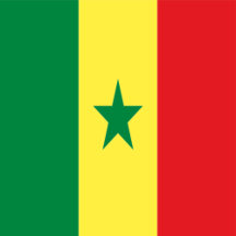 Senegal Flag Gifts 