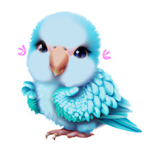 Cute and Adorable Blue Baby Parrot