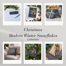 Modern Winter Snowflakes with Memorable Photo