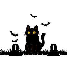 Halloween  Black Kitty