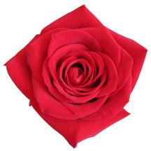 Mouse Pads by Claudine Boerner