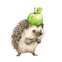 Hedgehog Woodland