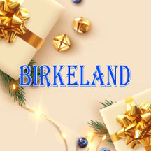 Birkeland_Name T-Shirt