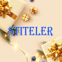 Stiteler_Name T-Shirt