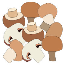 Edible Mushroom