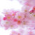 AsiaCherryBlossom