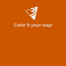 Orange Throw Pillow - Living Room