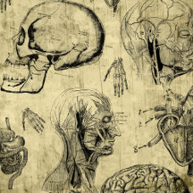 Medical Themed Gifts