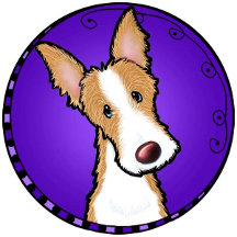 Ibizan Hound