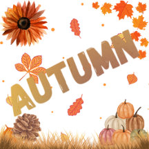 AUTUMN THEMES