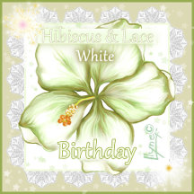 Hibiscus & lace WHITE birthday party