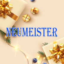 Neumeister_Name T-Shirt