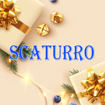 Scaturro_Name T-Shirt