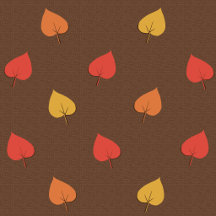 Fall Collection