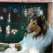 Rough Collie Christmas Gifts