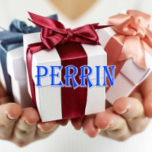 Perrin_Name T-Shirt