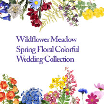 Wildflower Meadow Spring Floral Colorful Wedding