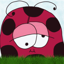 Funny and Chubby Ladybug Collection