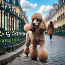 Standard Poodle Collection – Mugs, Totes & More