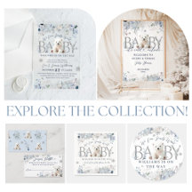 Winter Bear Baby Boy Shower We Can Bearly Wait 