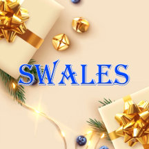 Swales_Name T-Shirt