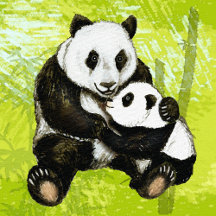 Niedliche Pandabären - Asien