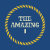 The_Amazing1
