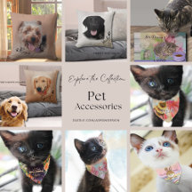 Pet Accessories