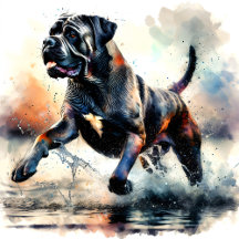 Watercolor Cane Corso illustration