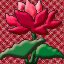 Lotus Designs