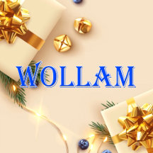 Wollam_Name T-Shirt