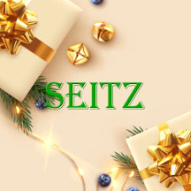 Seitz Name Shirt Seitz_collection