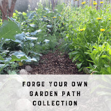 Forge Your Own Path Collection