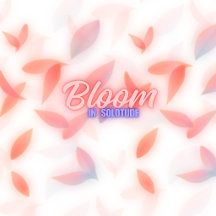 Best of K-Studio Blossom
