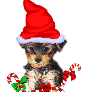 Yorkshire Terrier Kerstmis Feestdagenkaart
